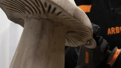 Arbortech Mini Carver