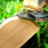 Arbortech SET TURBO Plane und TURBO Scraper