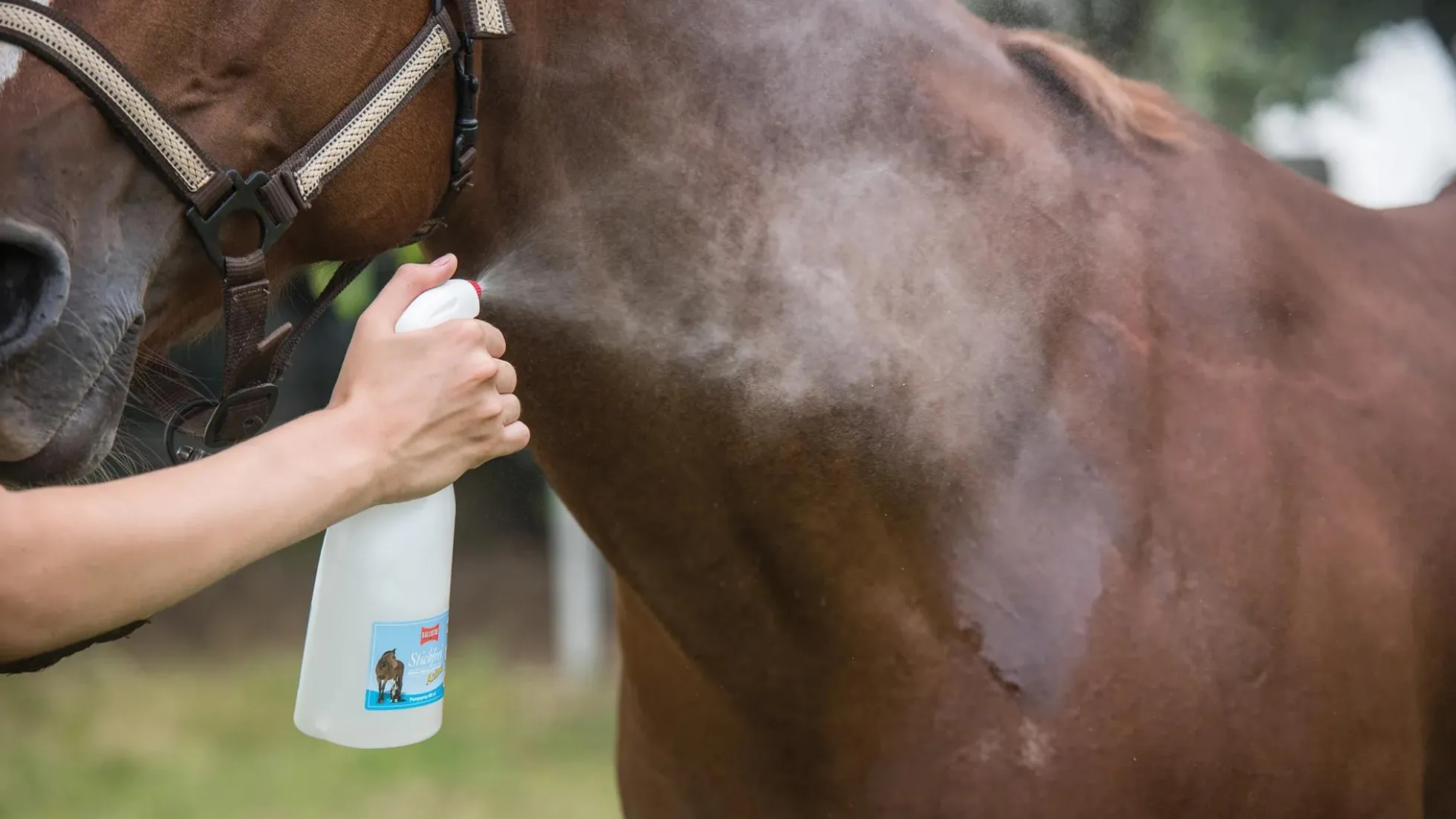 Ballistol Stichfrei Animal Pump-Spray, 100 ml