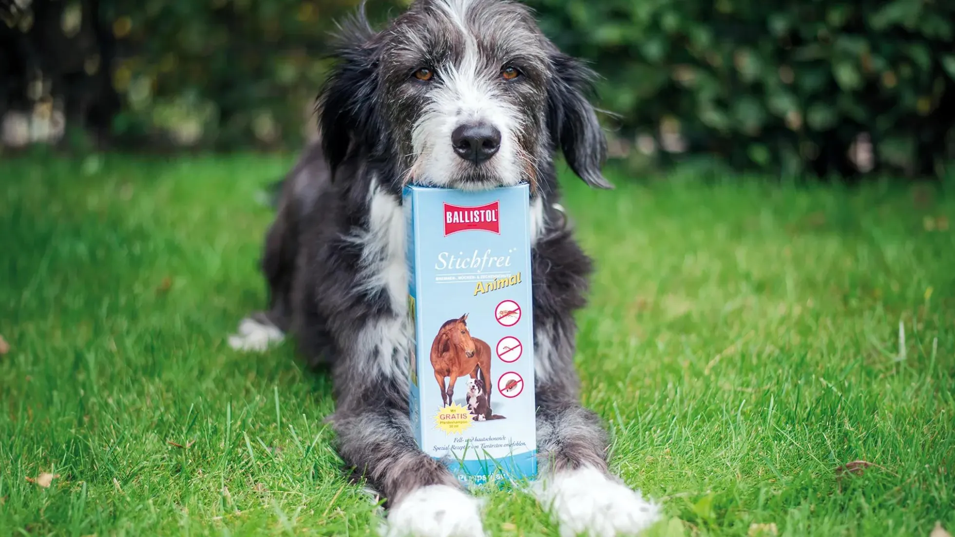 Ballistol Stichfrei Animal Pump-Spray, 100 ml