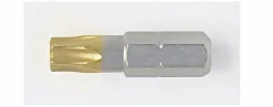 Diamant-Bit T25