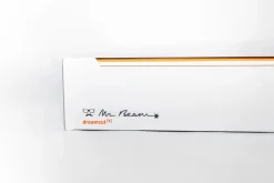 Lasercutter Mr. Beam II Dreamcut (X)