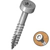 Milescraft Schrauben 1" für PocketJig 100 St. grob