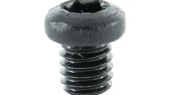 Rundkopfschraube mit Torx