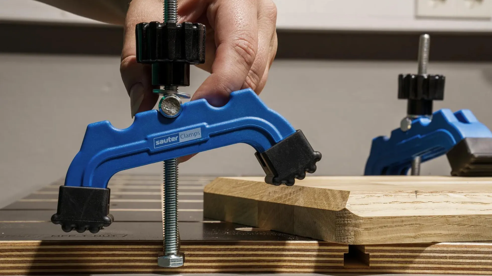 sauter Niederspanner "Toggle Clamp", 2 St.