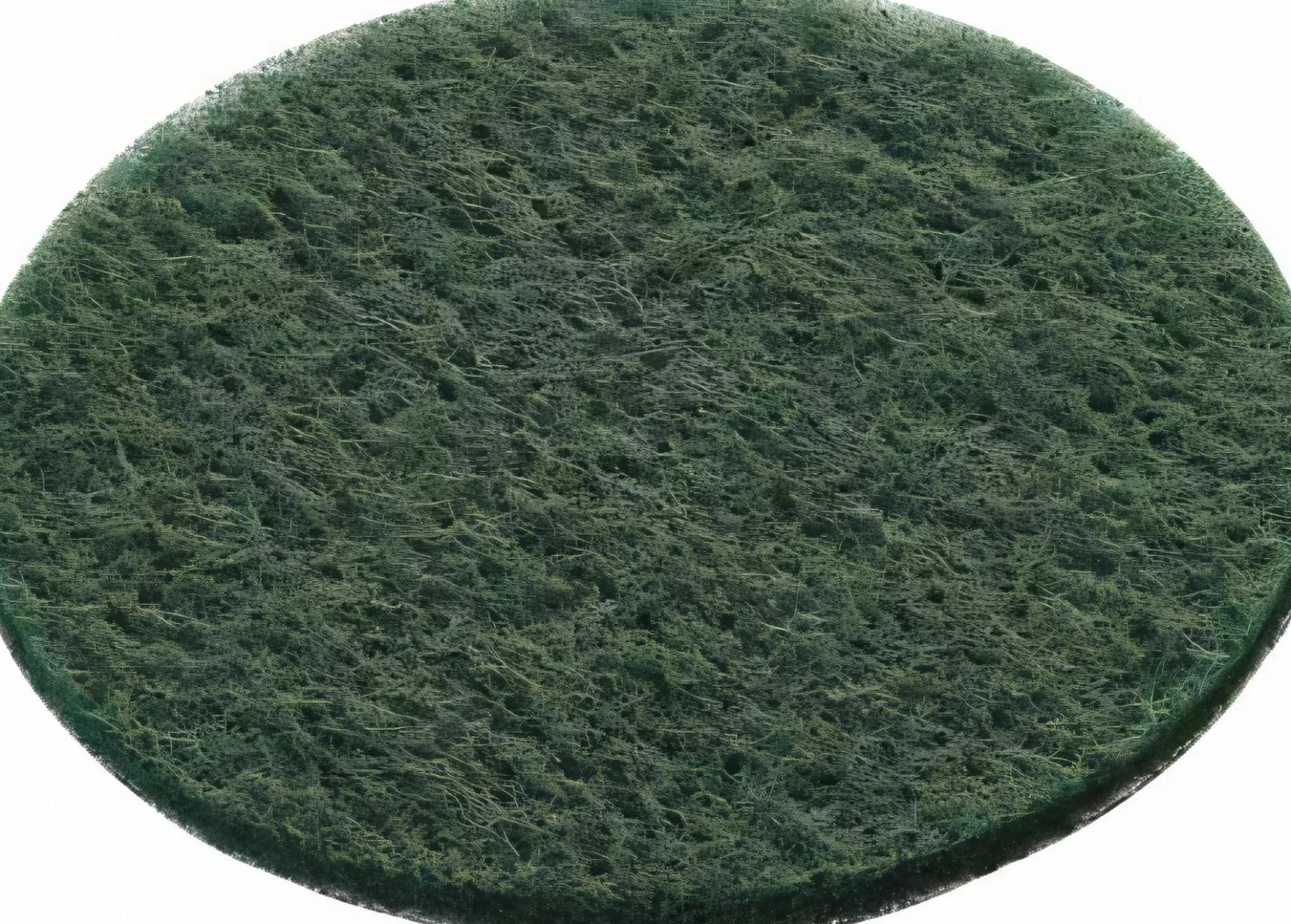 Schleifvlies STF D125/0 green/10