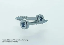 Schneidschrauben mit Flachkopf Fein 32 mm 500 Stk