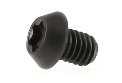 Torx-Schraube M3,5 x 5