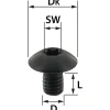 Torx Schraube T15